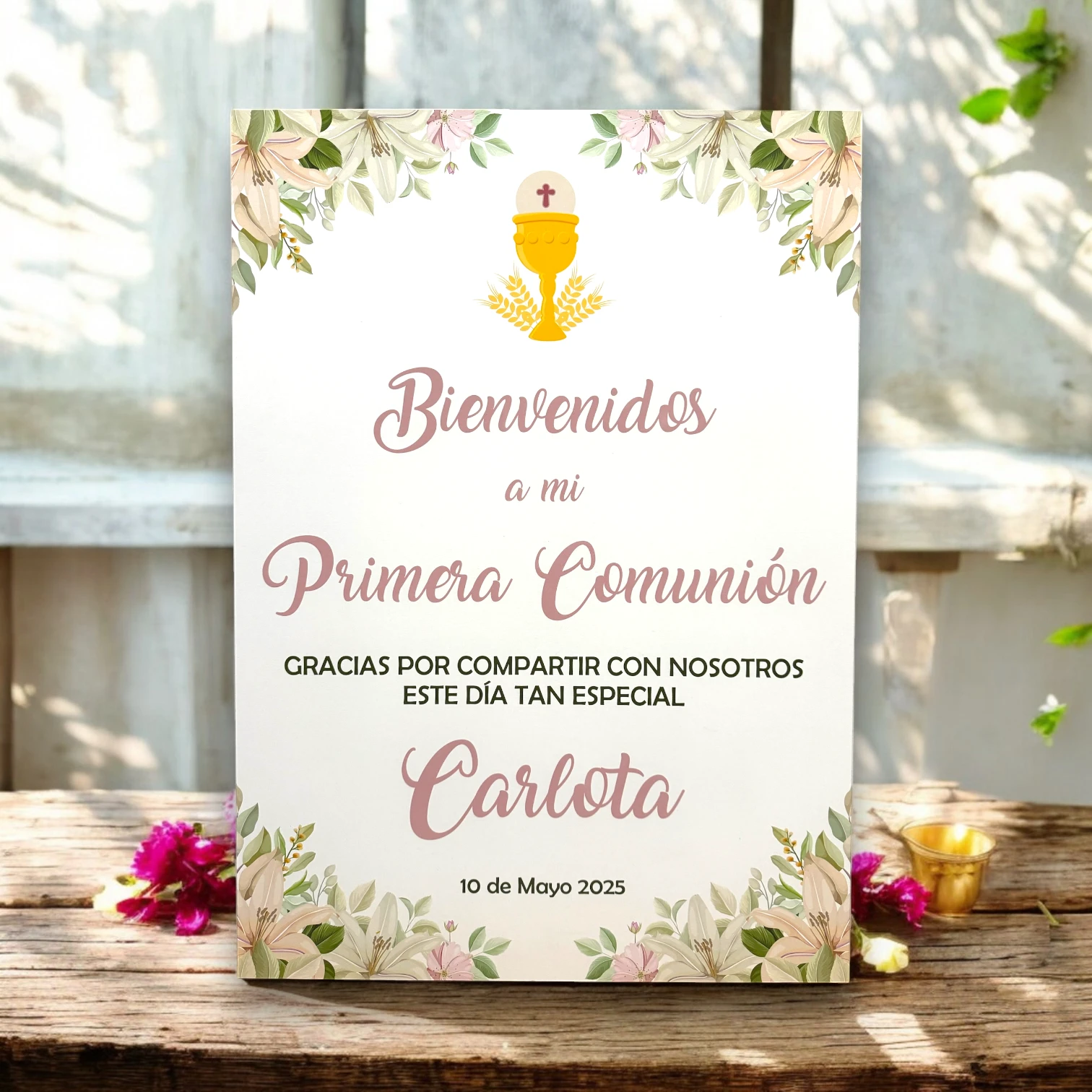 cartel bienvenida comunion